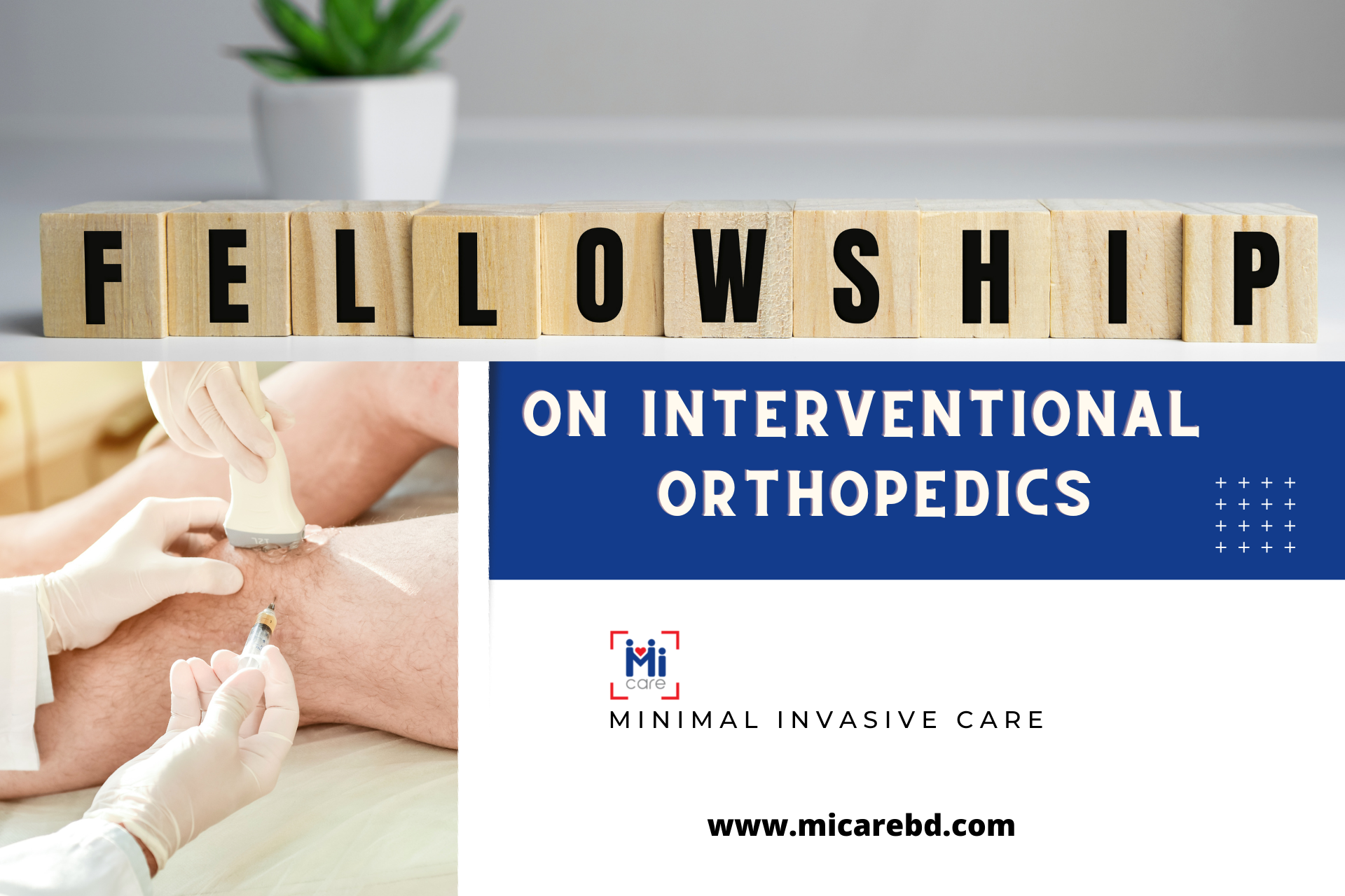 fellowship program on interventional orthopedics